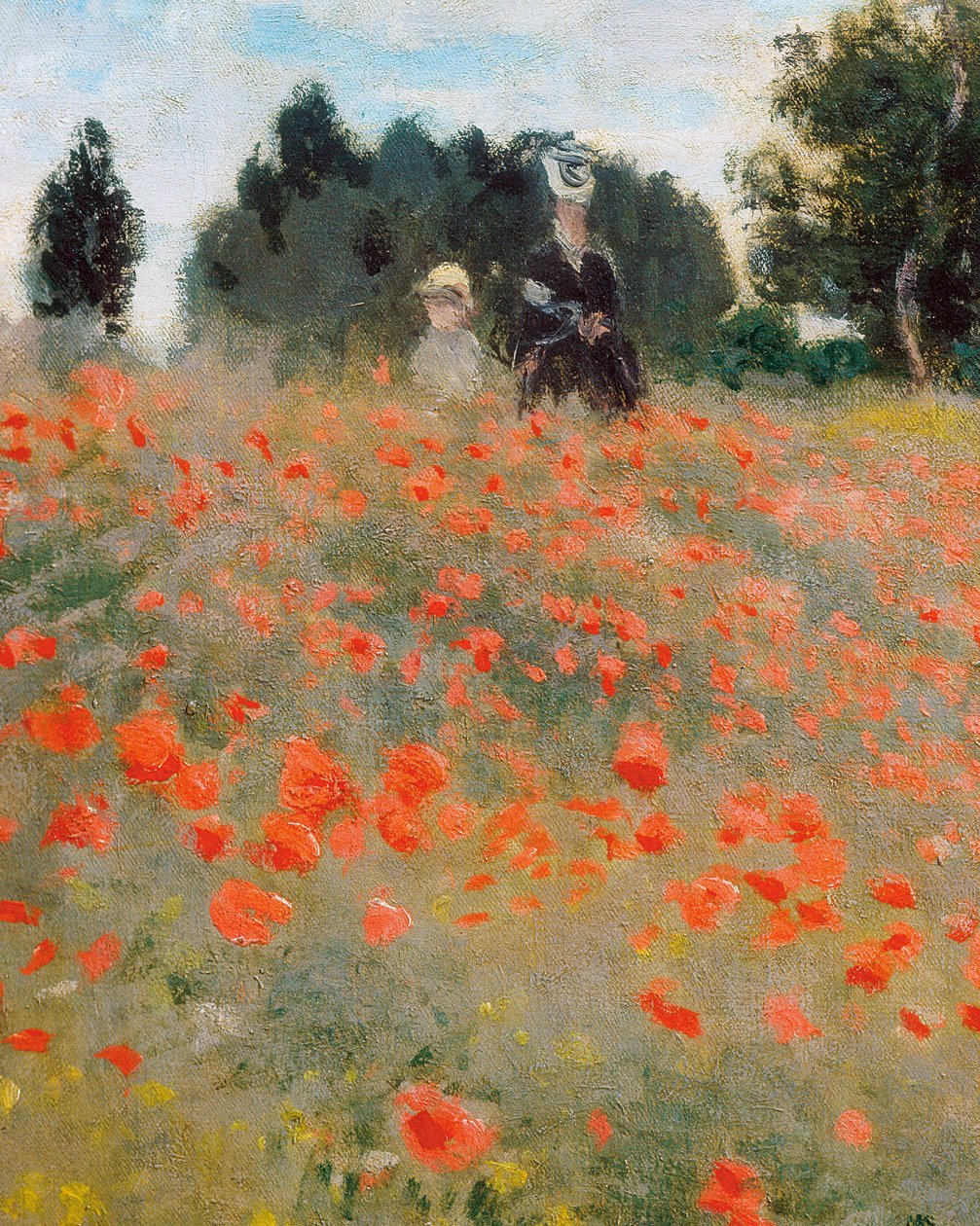 Coquelicots, environs d