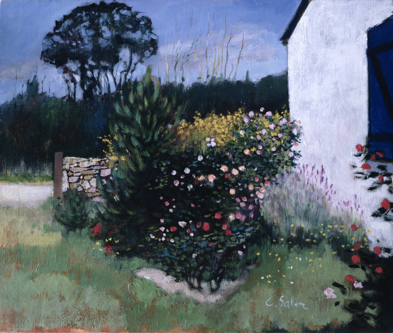 Le rosier - Claude Salez