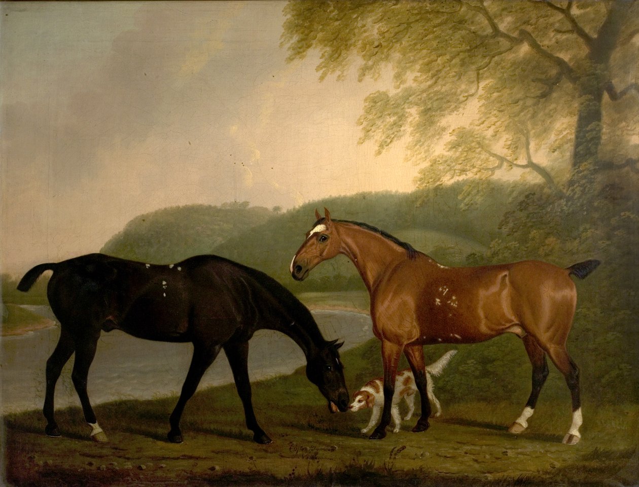 Chevaux et chien dans un paysage, vers 1830 - Clifton Tomson