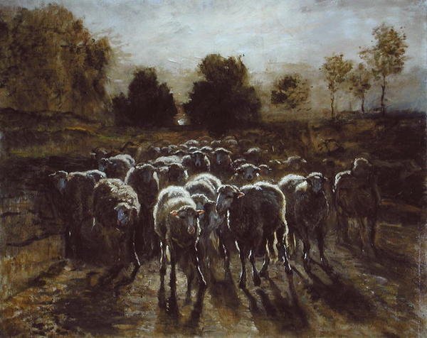 Troupeau de moutons, ou Le retour du troupeau - Constant Emile Troyon