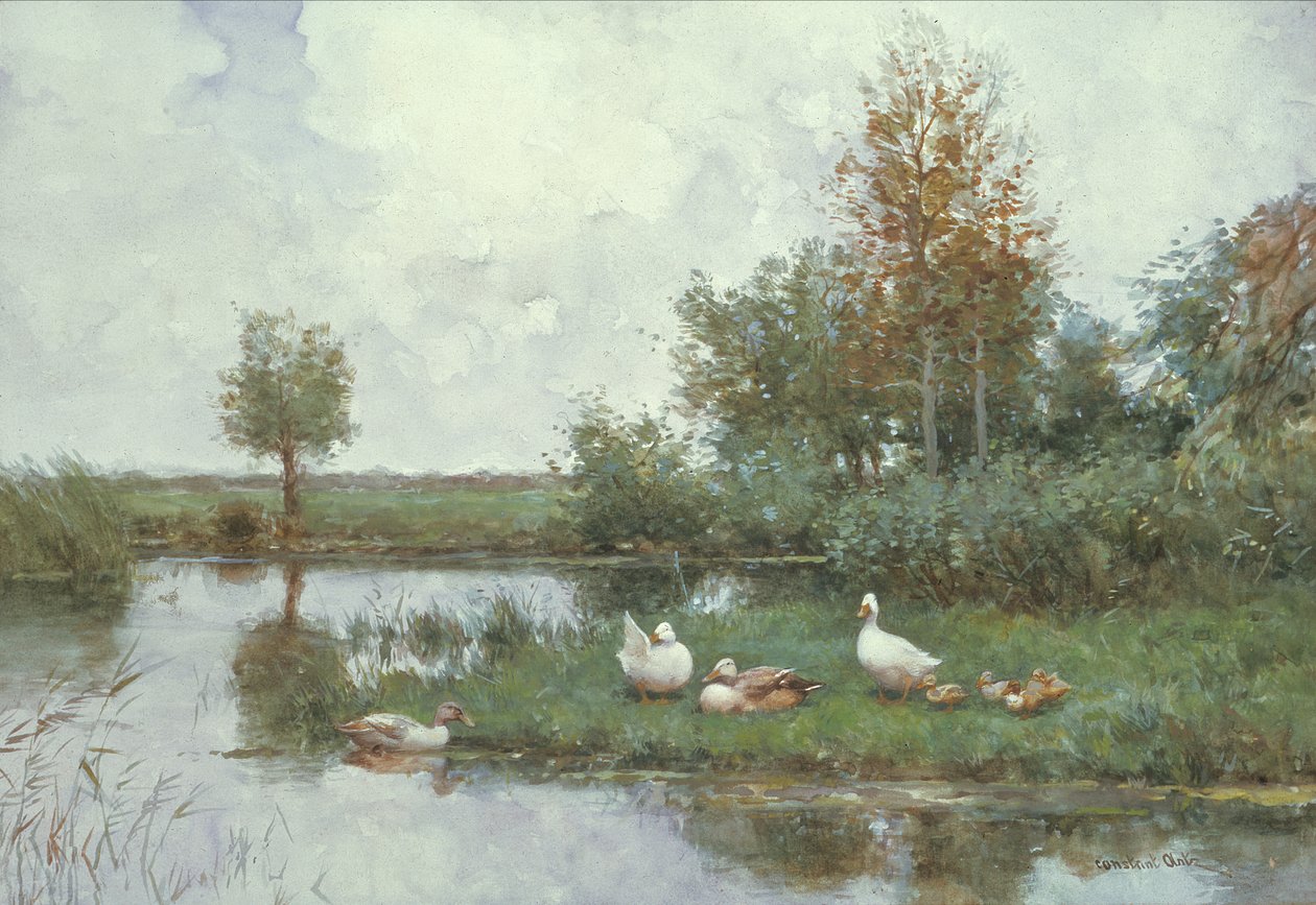 Canards dans un paysage fluvial - Constant Artz