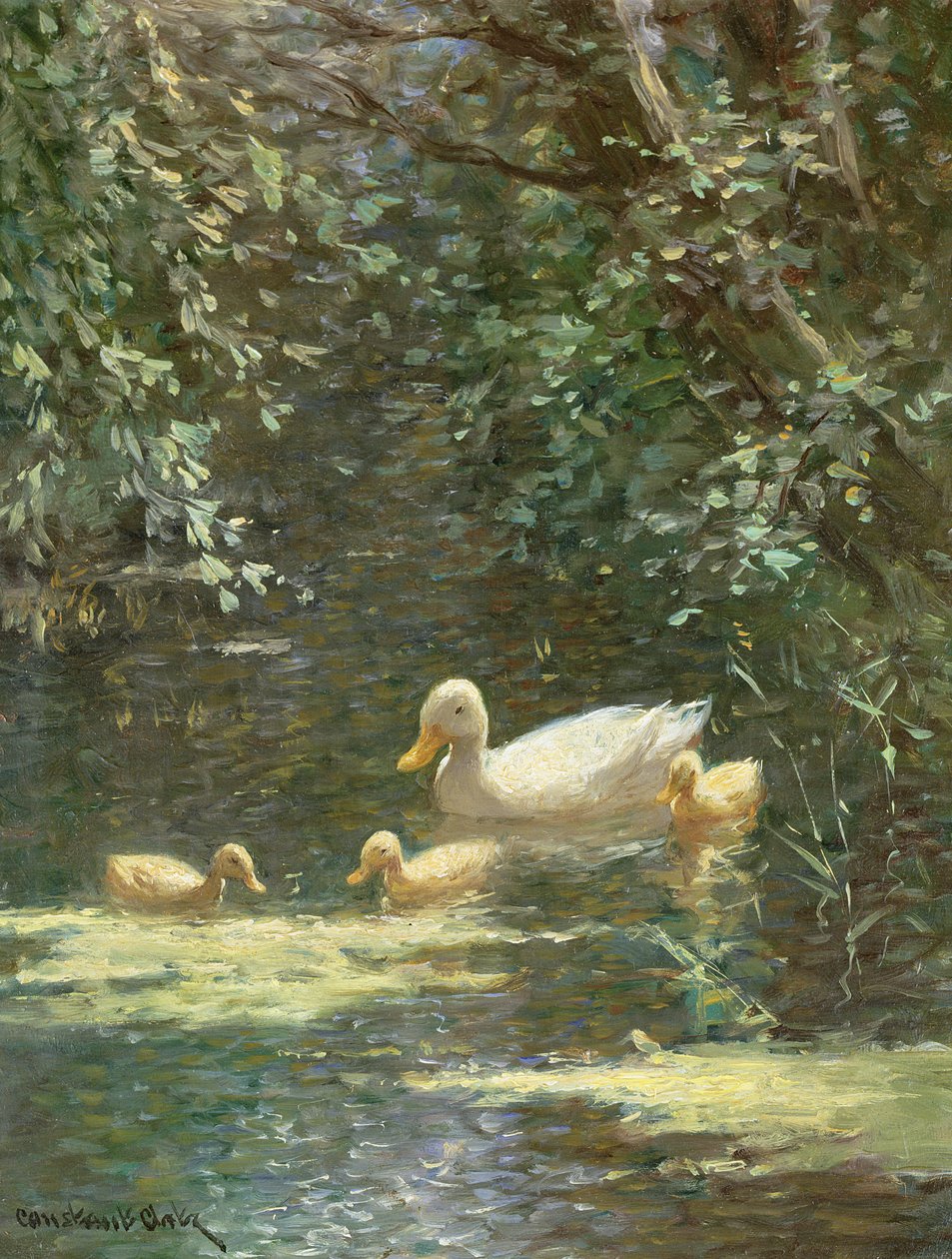 Mère canard avec canetons dans l