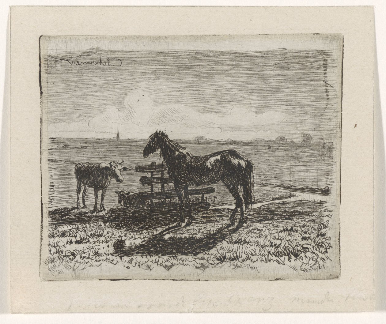 Prairie avec un cheval et deux vaches - Cornelis Albertus Johannes Schermer