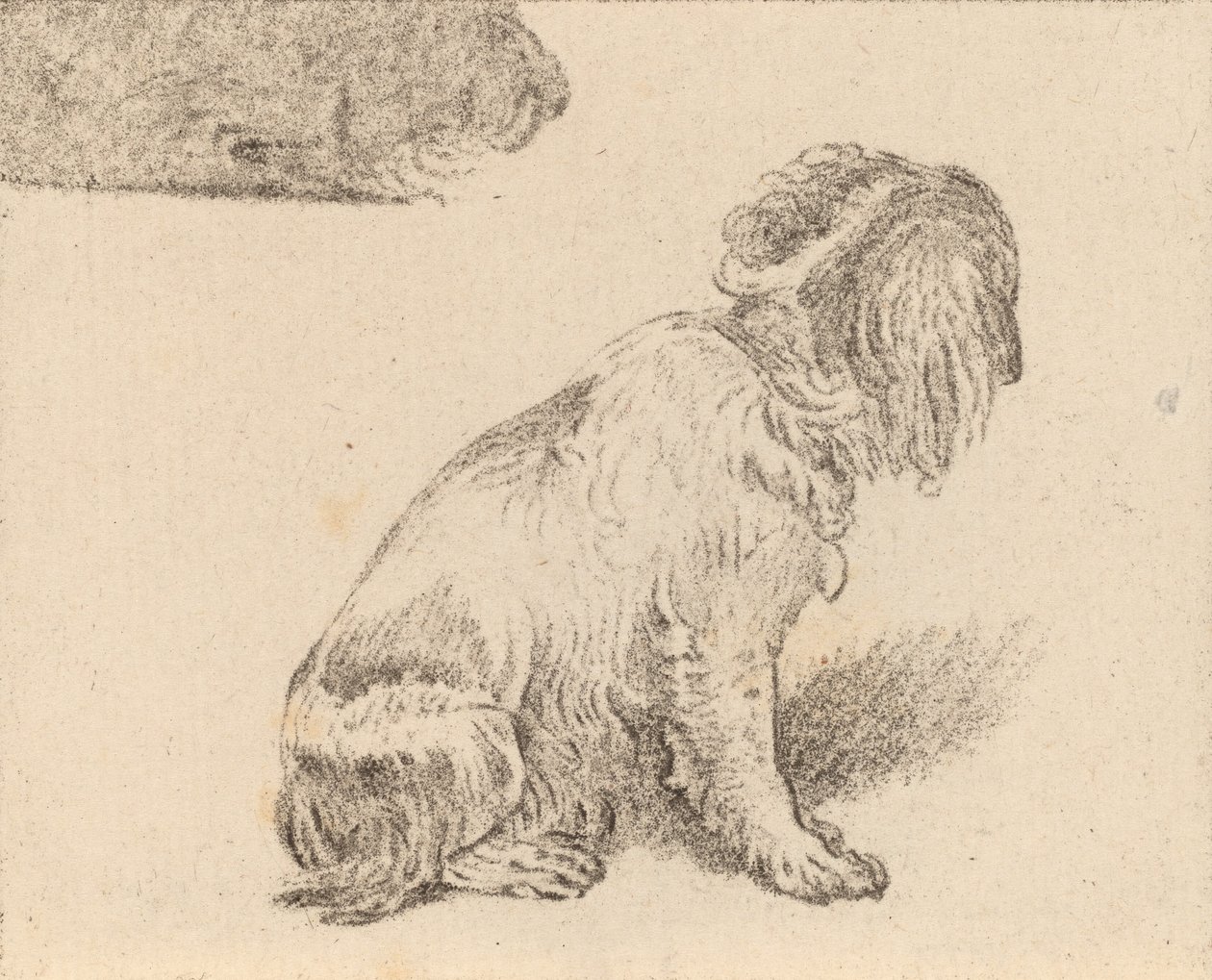 Chien assis - Cornelis Brouwer
