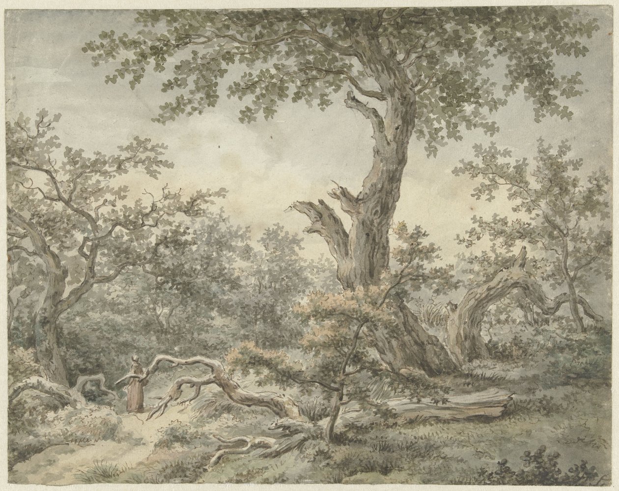 Paysage forestier - Cornelis Buys