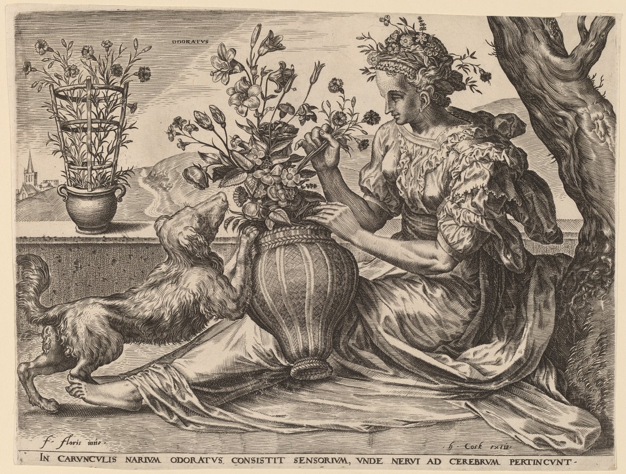 Odoratus - Cornelis Cort after Frans Floris I