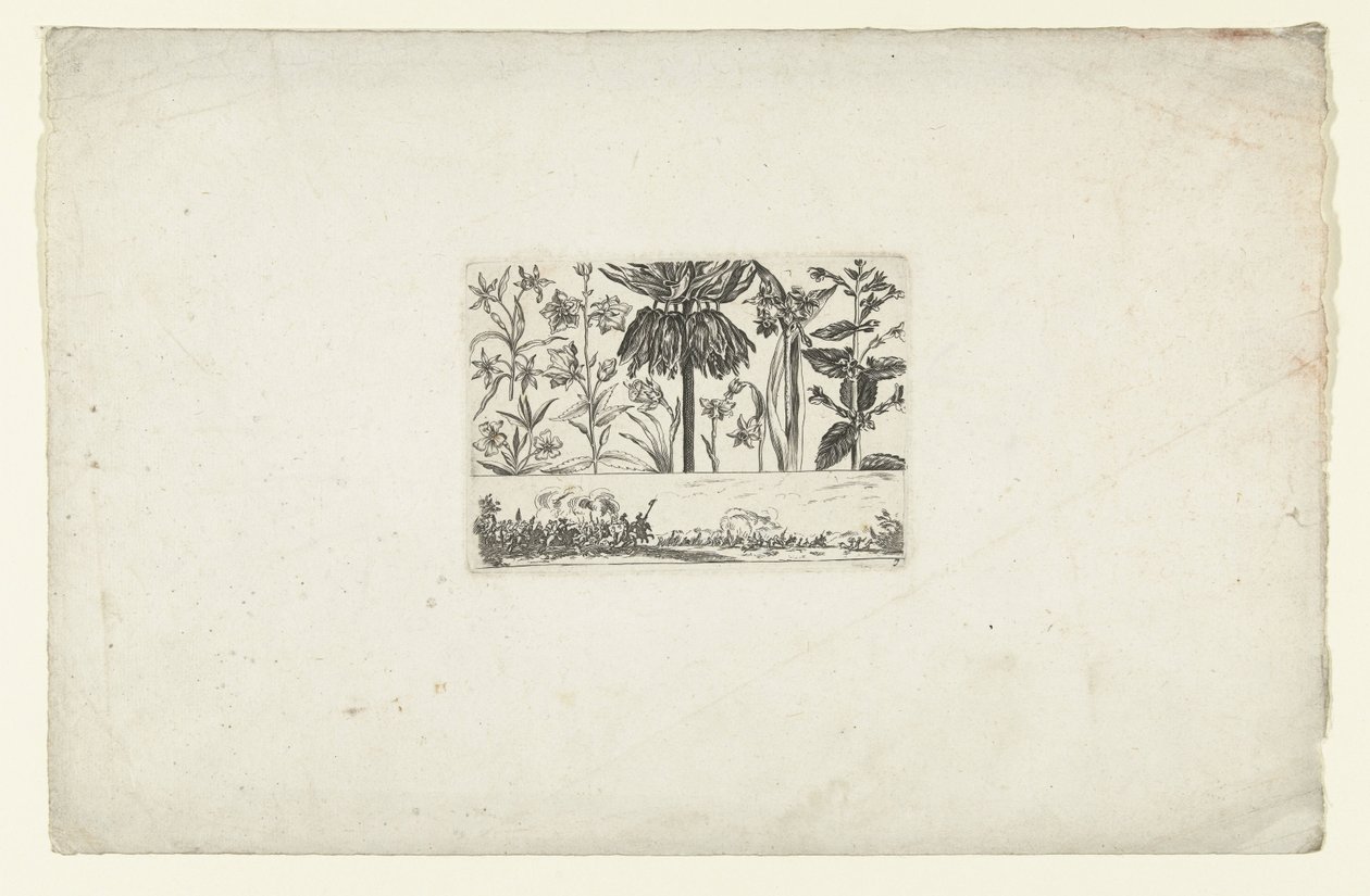Rangée de fleurs au-dessus d