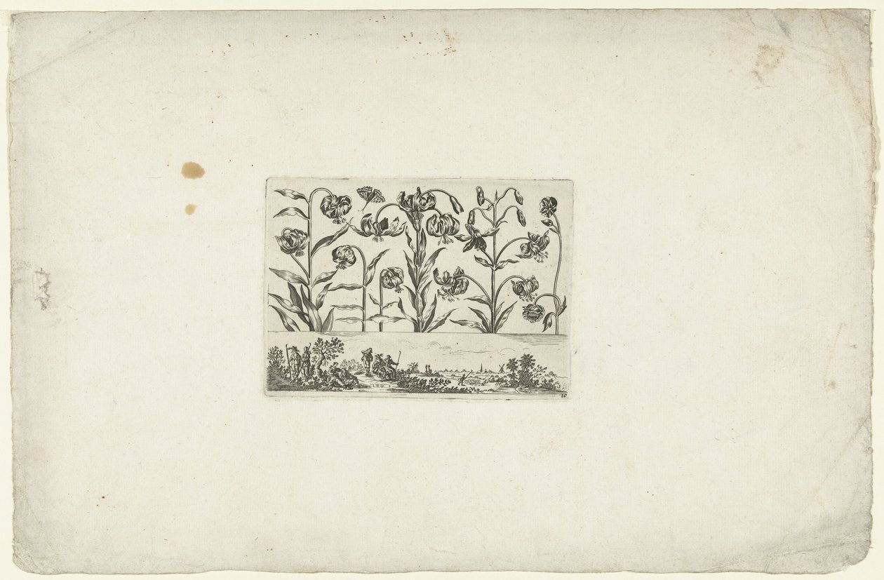Rangée de fleurs au-dessus d