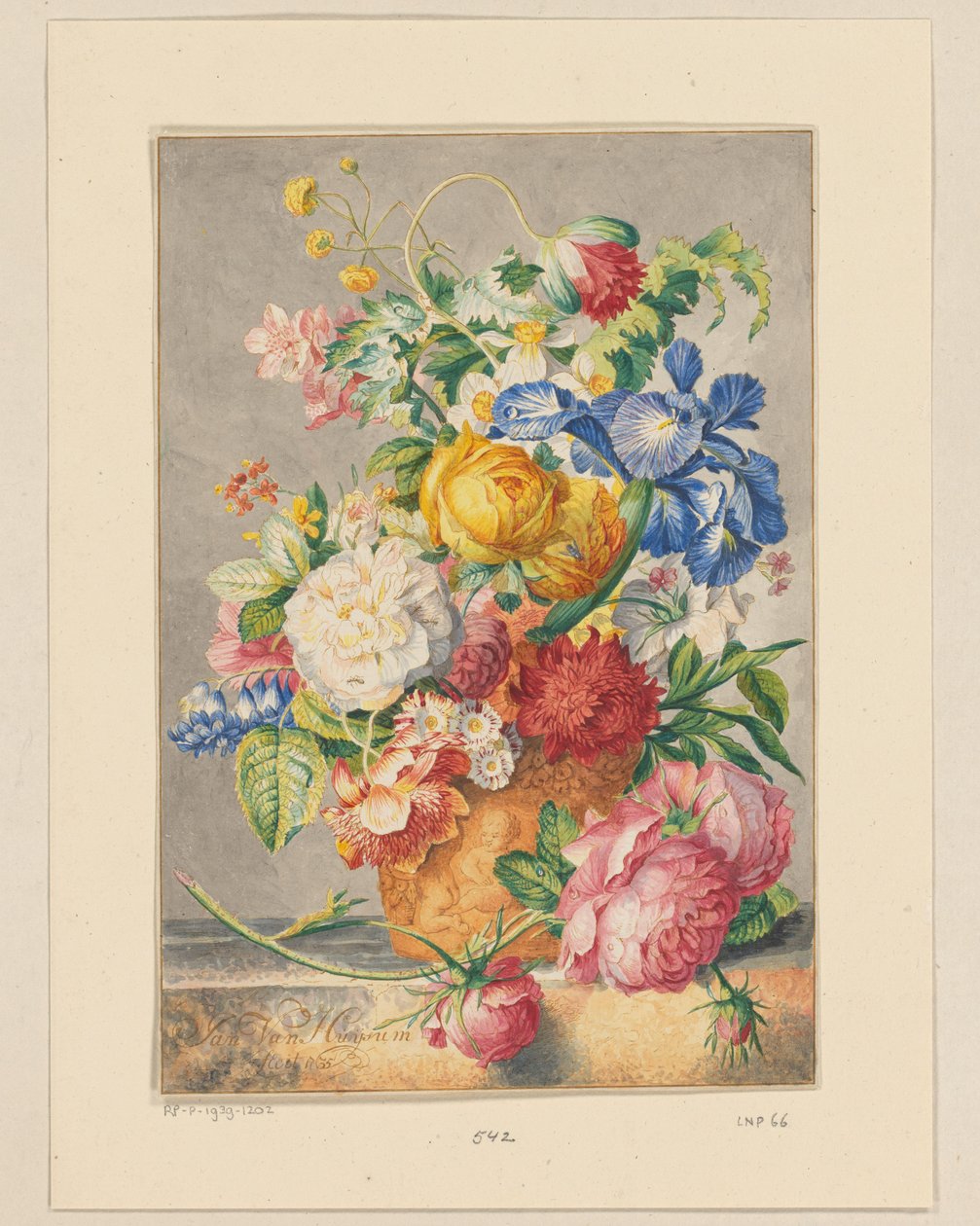 Nature morte de fleurs - Cornelis Ploos van Amstel