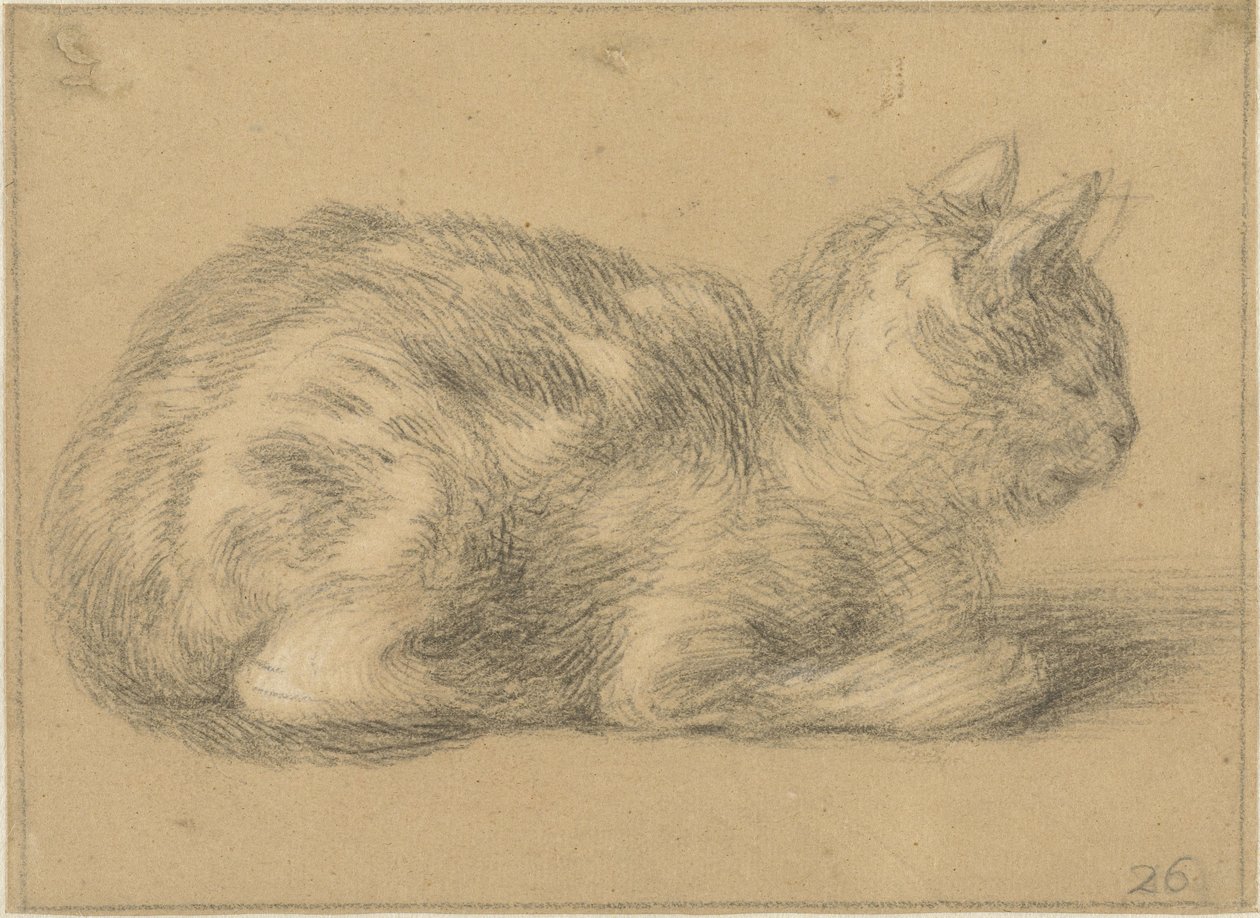 Chat assis, vers la droite - Cornelis Saftleven (possibly)