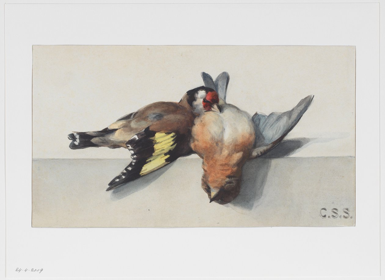 Nature morte avec deux oiseaux morts - Cornelis Samuel Stortenbeker