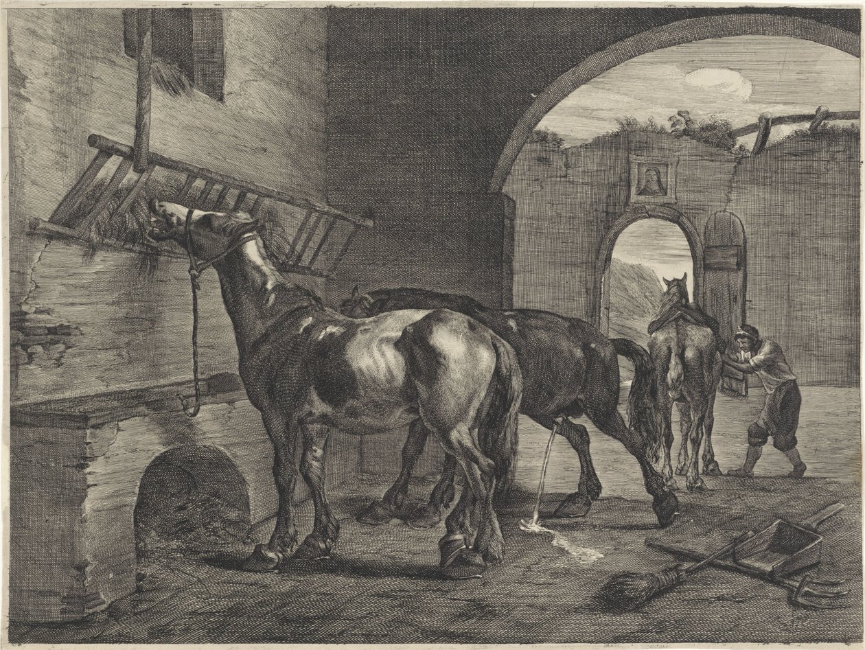 Écurie - Cornelis Visscher (II)