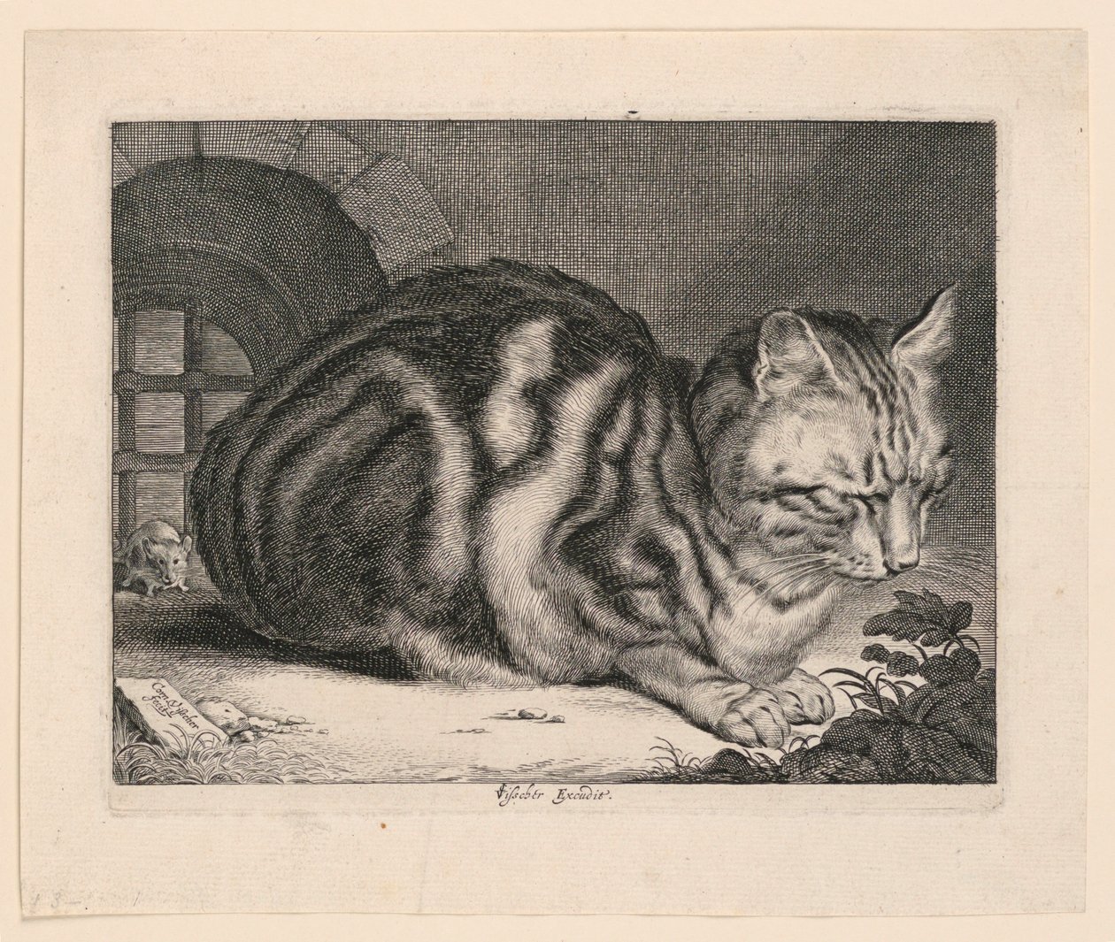Le grand chat - Cornelis Visscher