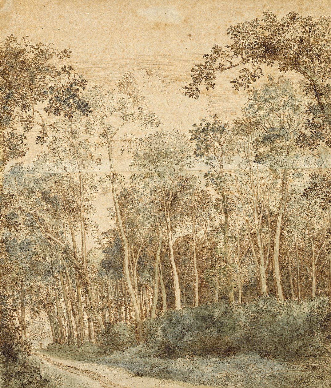 Paysage boisé - Hendrick Cornelisz. Vroom