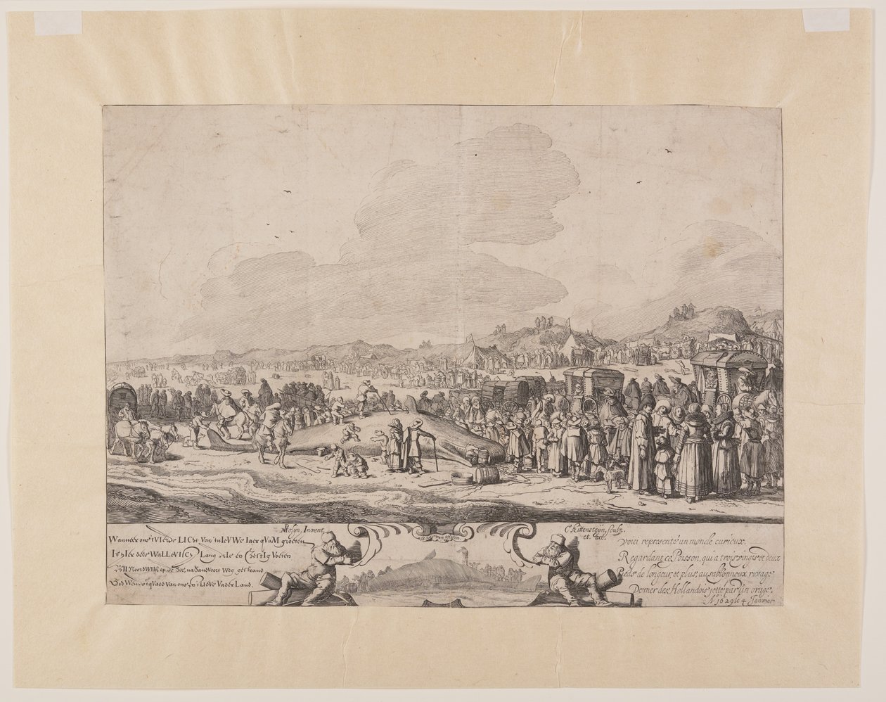 Le Cachalot échoué entre Noordwijk et Zandvoort - Cornelis van Kittensteyn