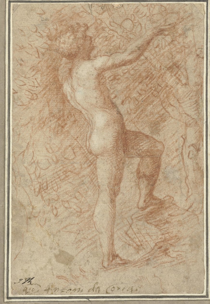 Adam cueille la pomme de l