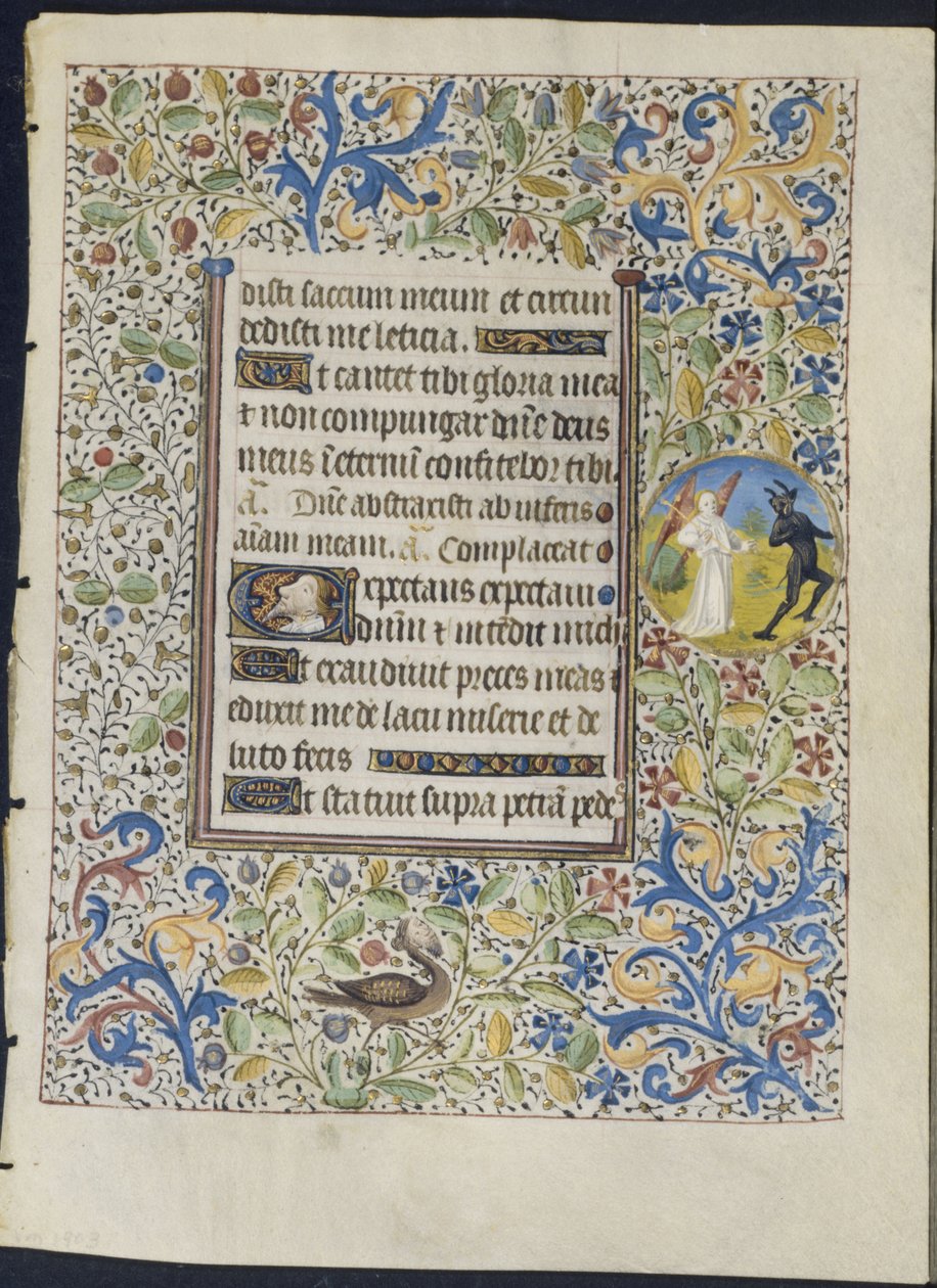 Feuille d