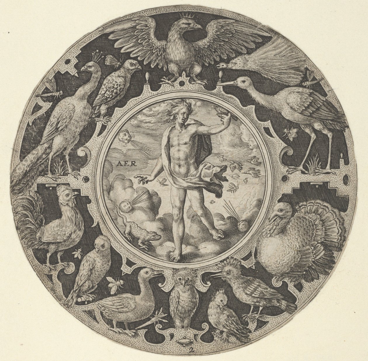 Aer dans une bordure décorative avec des oiseaux, d