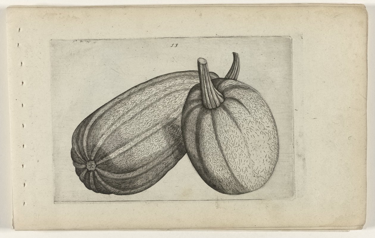 Deux melons - Crispijn van de Passe (I) (attributed to)