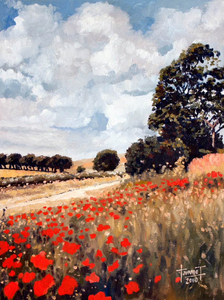 Coquelicots sauvages, Hertfordshire, 2010 - Cruz Jurado Traverso