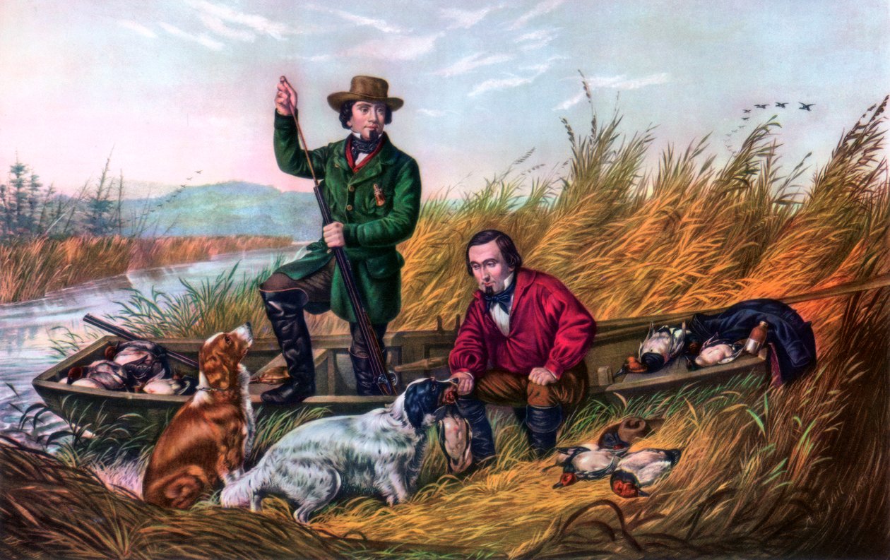 Chasse au canard sauvage, 1854 - Currier and Ives