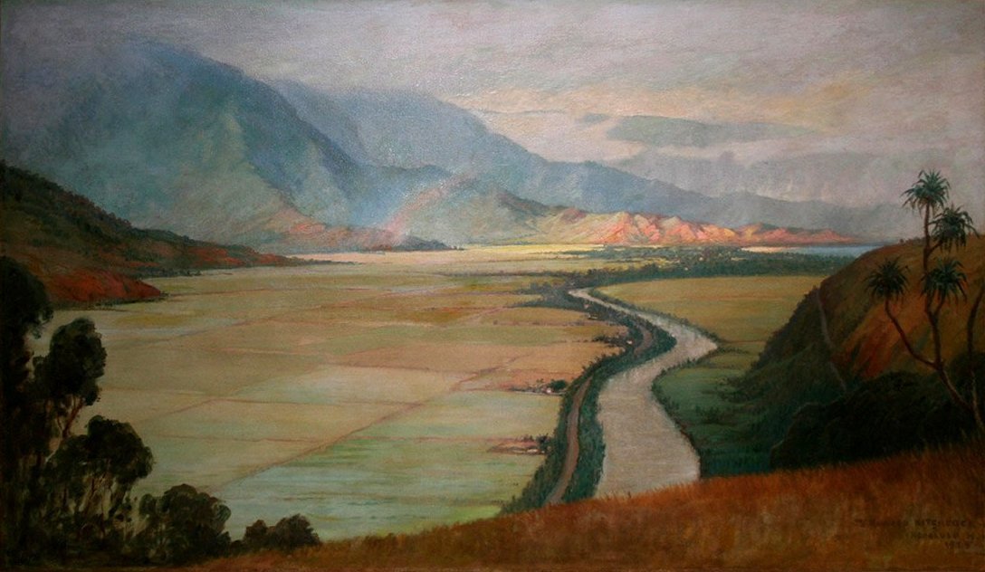 Vallée de Hanalei - D. Howard Hitchcock