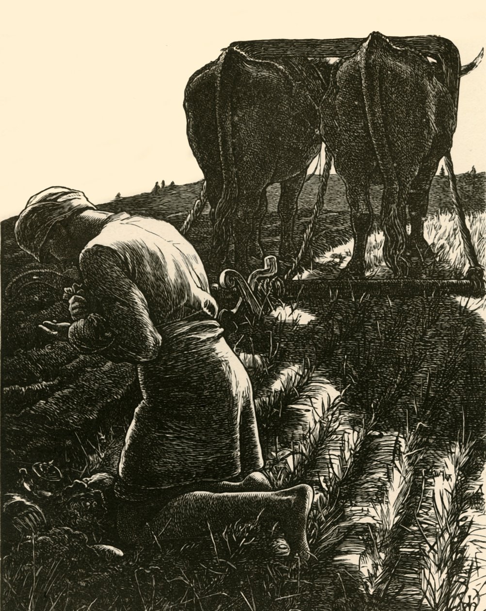 Le Trésor caché, 1864 - Dalziel Brothers
