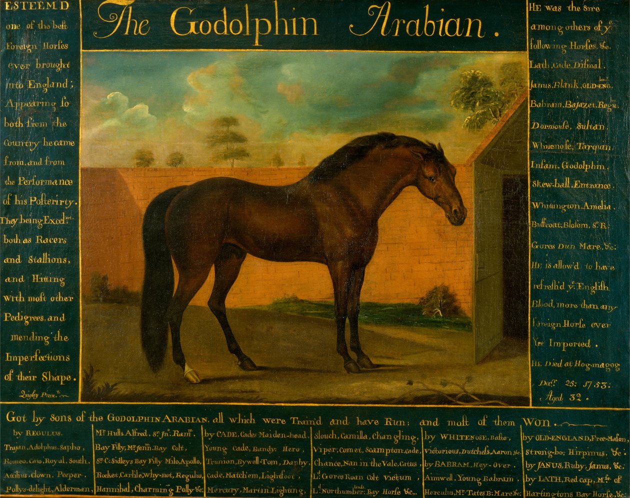 Le Godolphin Arabian - Daniel Quigley