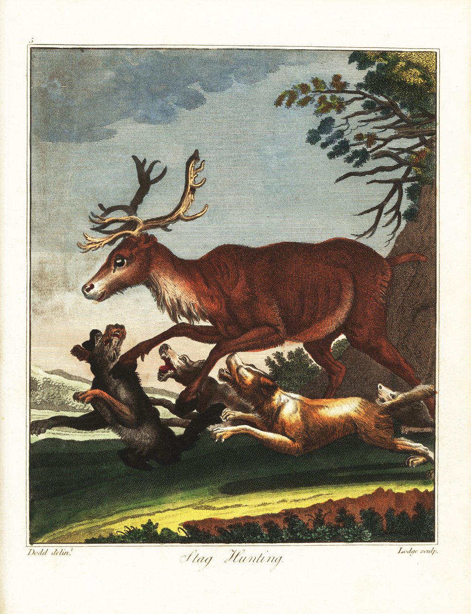 Chasse au cerf - Daniel (after) Dodd