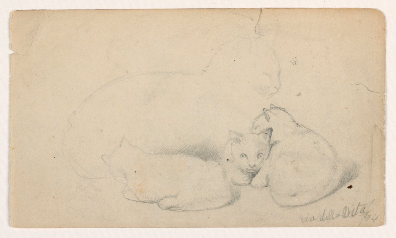 Dessin, chat et trois chatons ; verso : homme arabe assis recevant un homme, probablement d