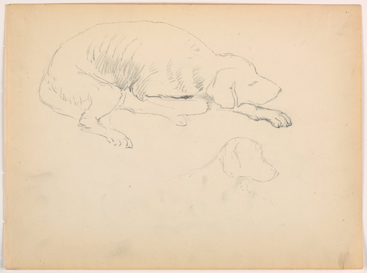 Dessin, Milo (un chien d