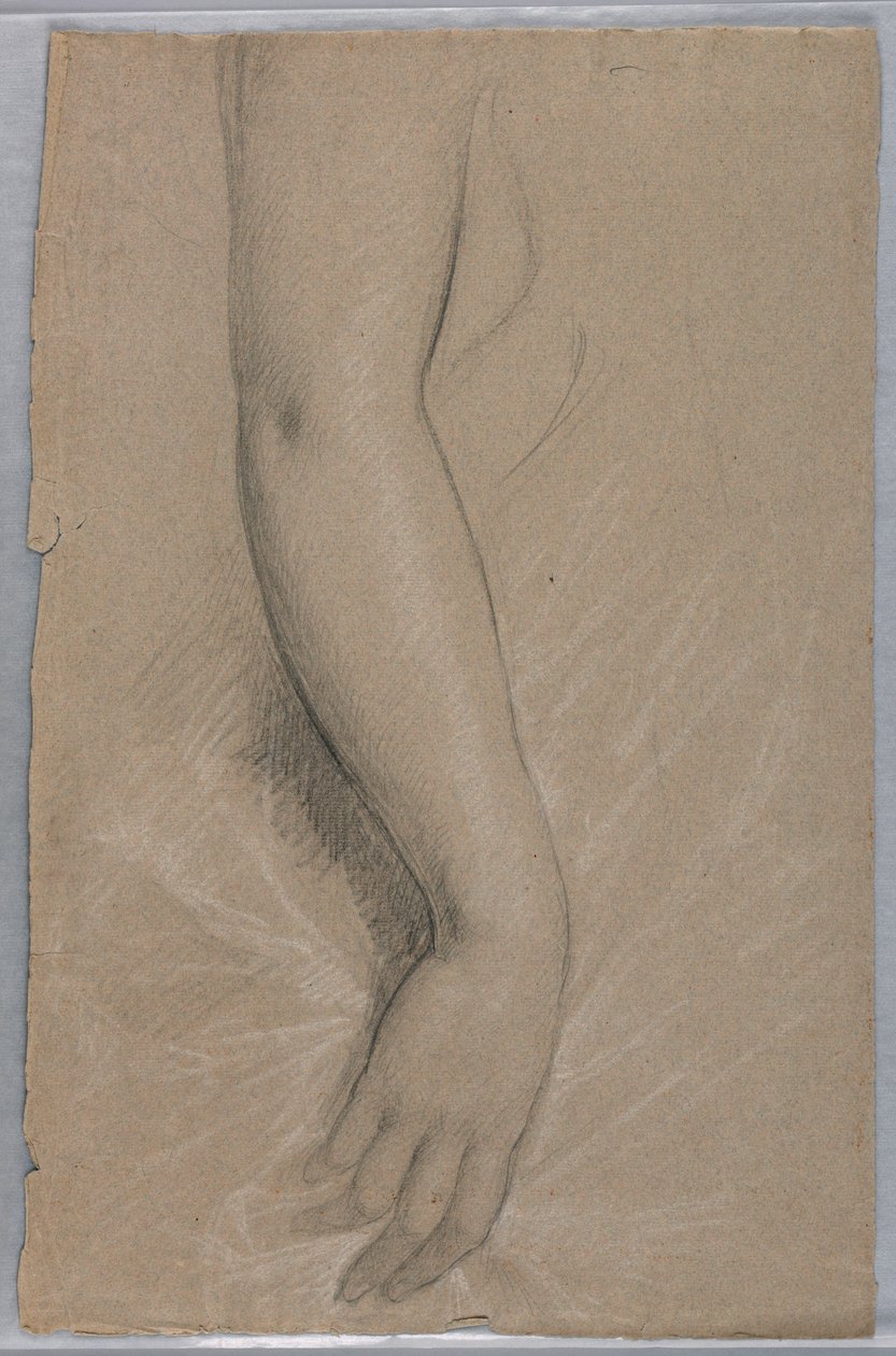 Dessin, Mme Rutherford B Hayes, 1880 - Daniel Huntington