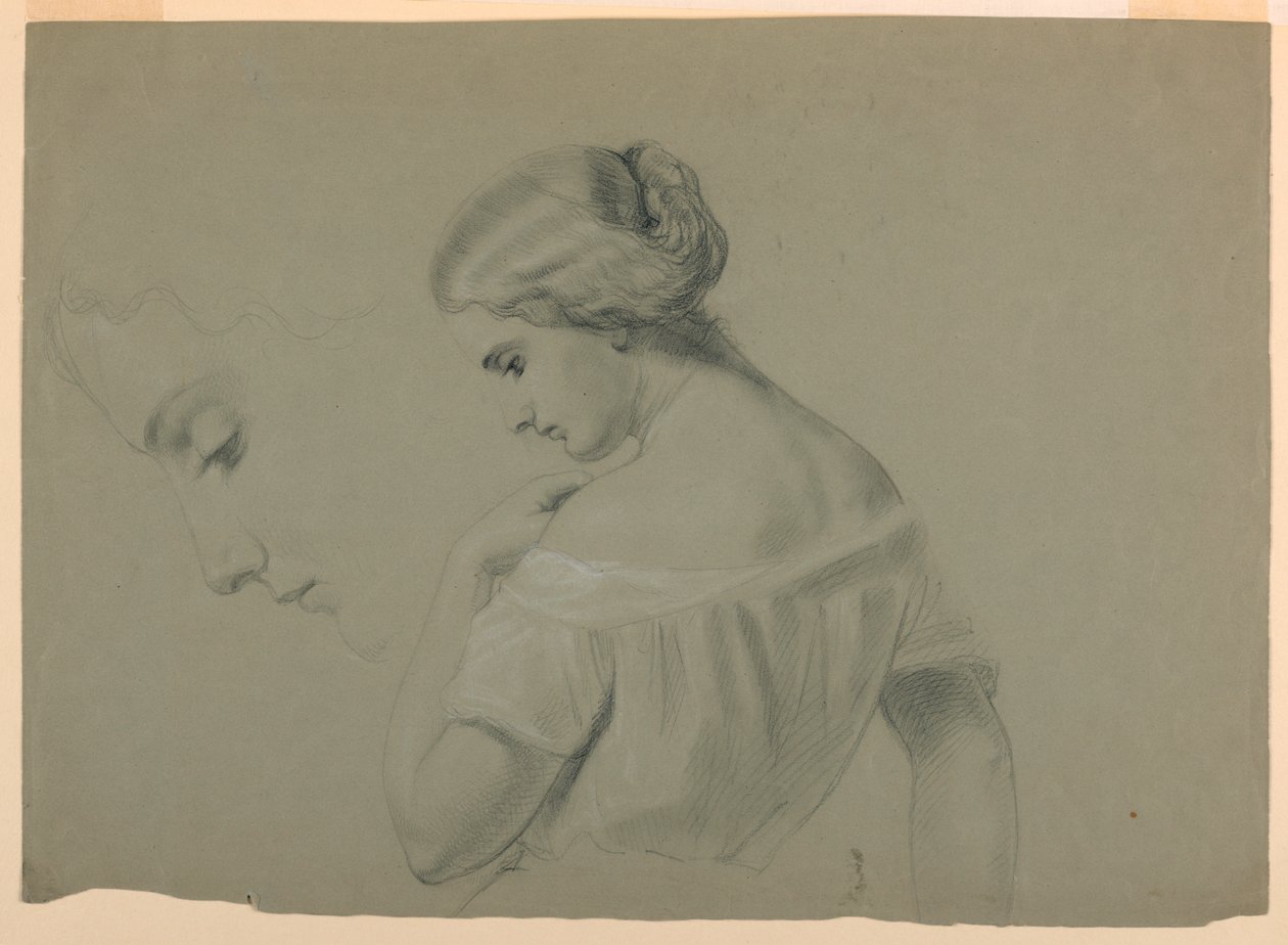 Dessin, profil de la tête d