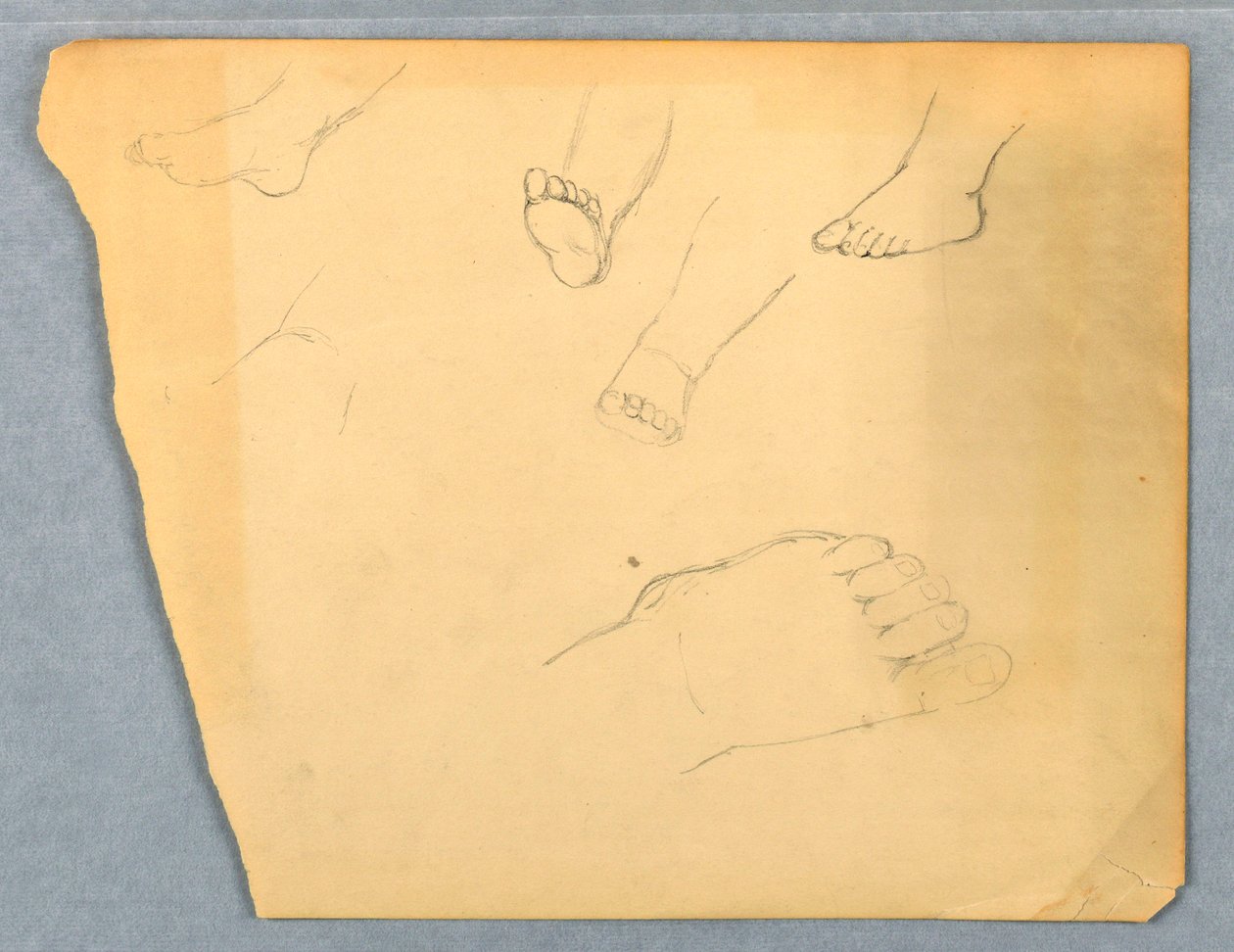 Dessin, études du pied gauche d