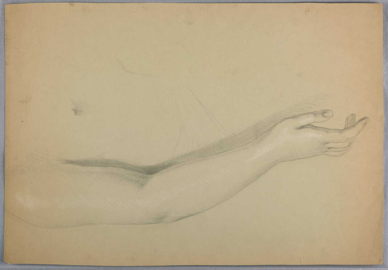 Dessin, étude pour le double de "C", 1850 - Daniel Huntington