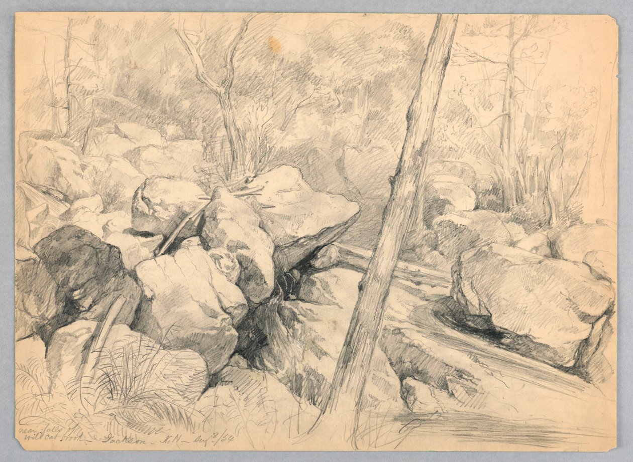 Près des Chutes de Wildcat Brook, Jackson, New Hampshire - Daniel Huntington