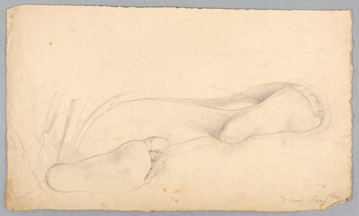 Étude des pieds d