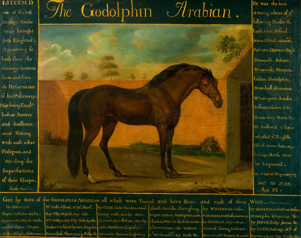 Le Godolphin Arabian - Daniel Quigley
