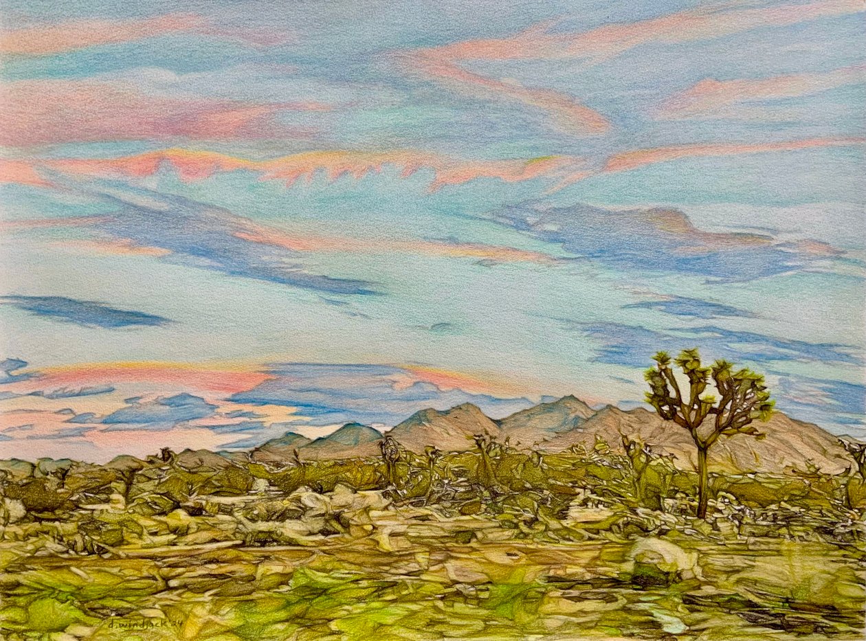 Le Joshua Tree, 2023 - Darrell Windjack