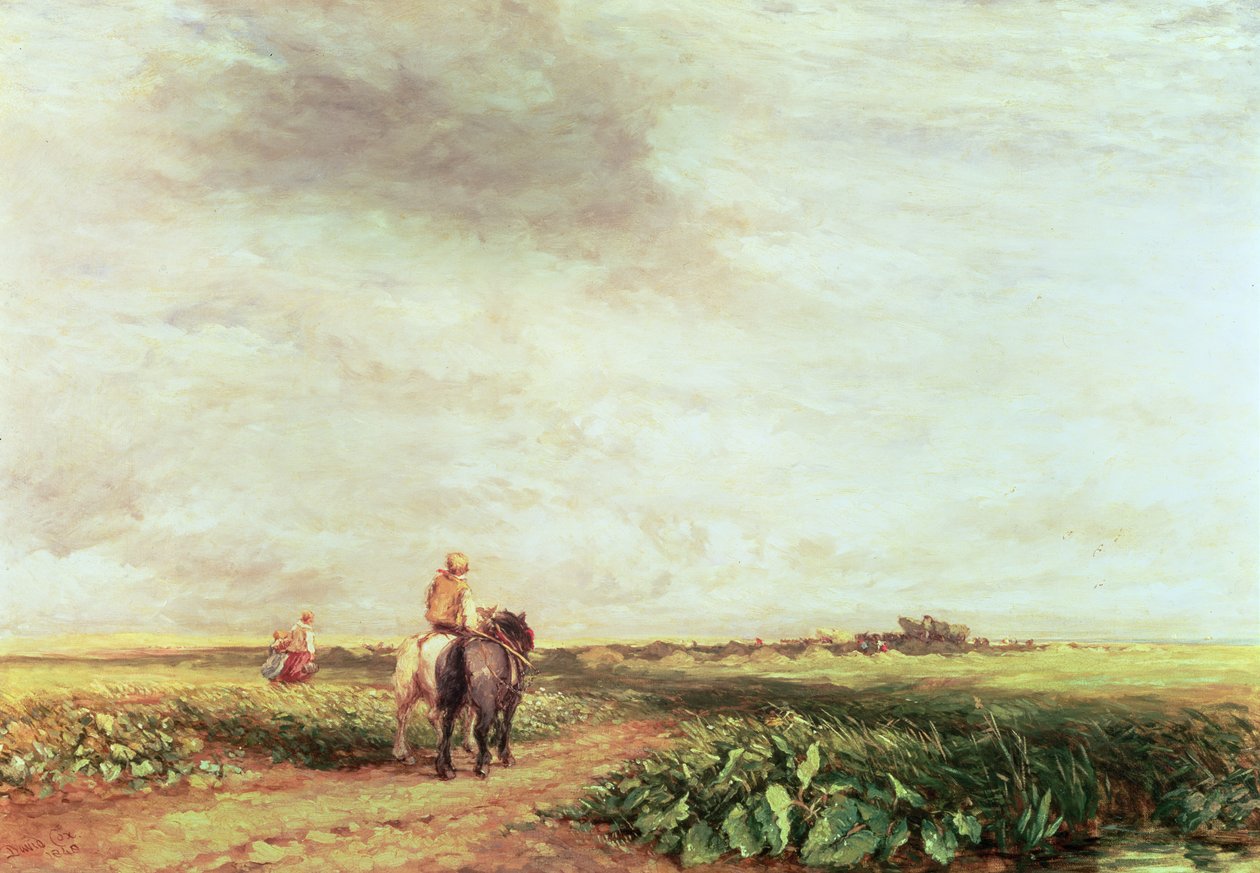 Paysage - David Cox