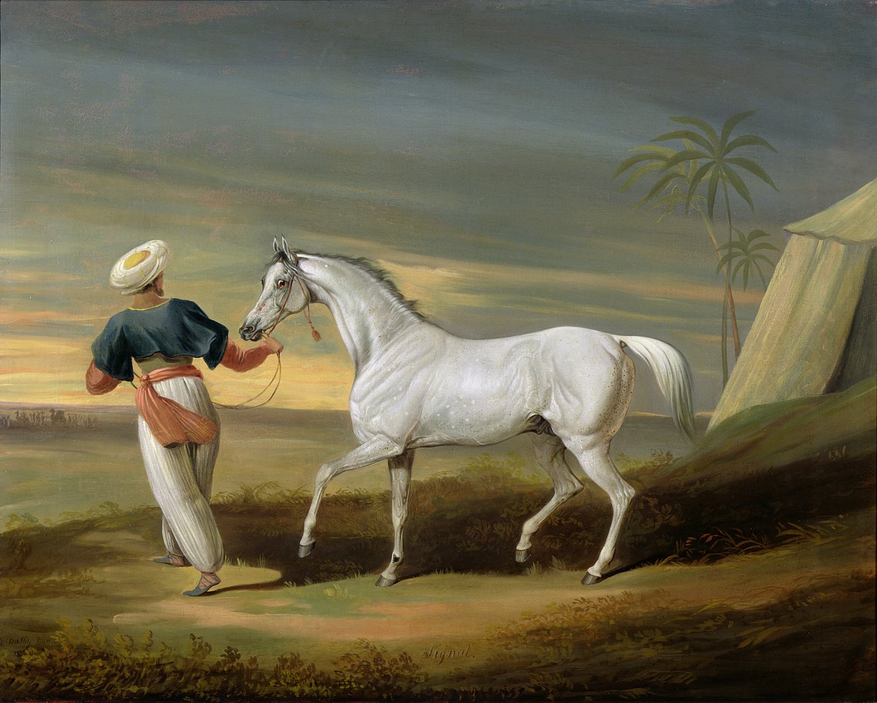 Signal, un Arabe gris, avec un palefrenier dans le désert - David of York Dalby