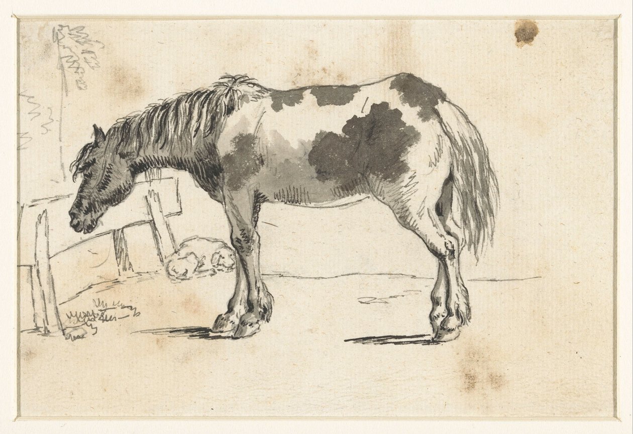 Cheval debout et un chien couché - David Alphonse de Sandoz Rollin
