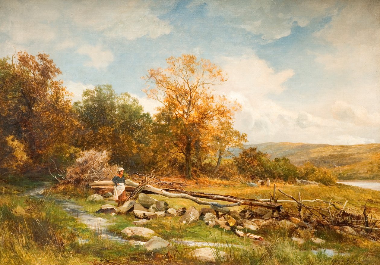 Clôture de marée sur la rivière Conwy à Bachlediog, 1891 - David Bates