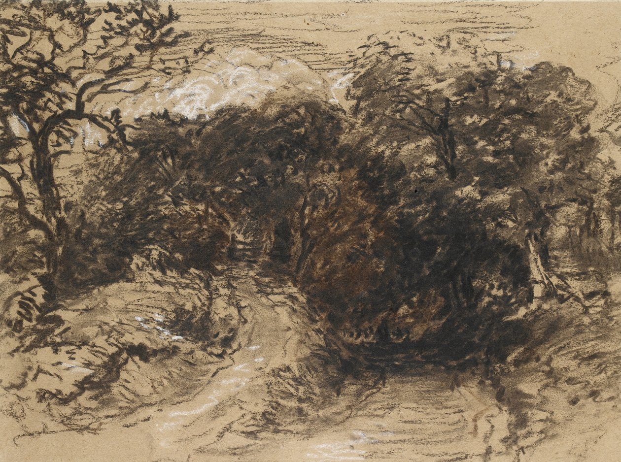 Un chemin creux près de Harborne, Derbyshire - David Cox
