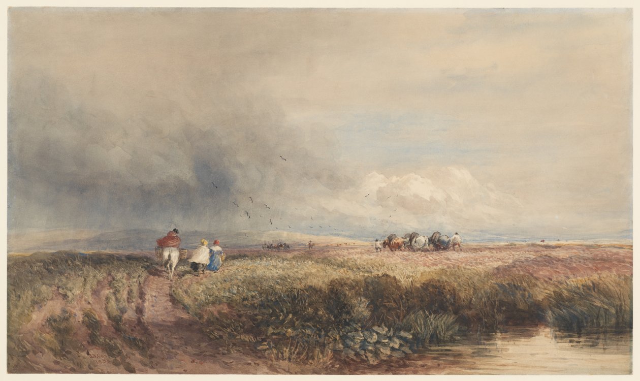Voyage de retour - David Cox