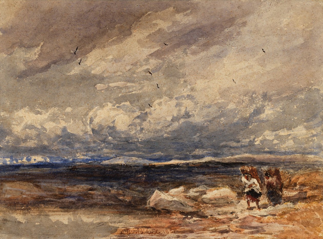 Sur Carrington Moss - David Cox