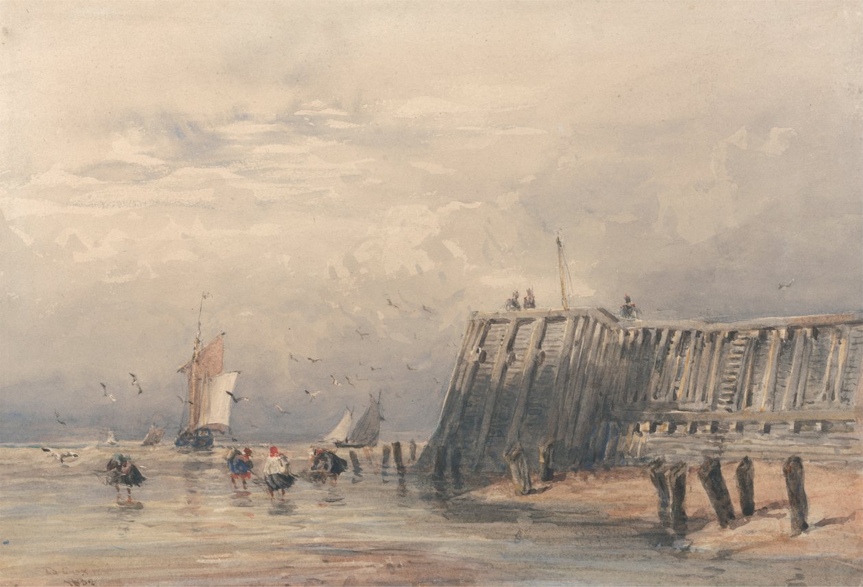 Voiliers et pêcheurs de crevettes au large d