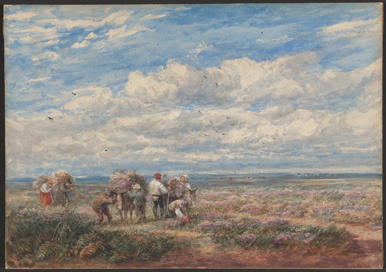 Les cueilleurs de bruyère ou de genêt - David Cox