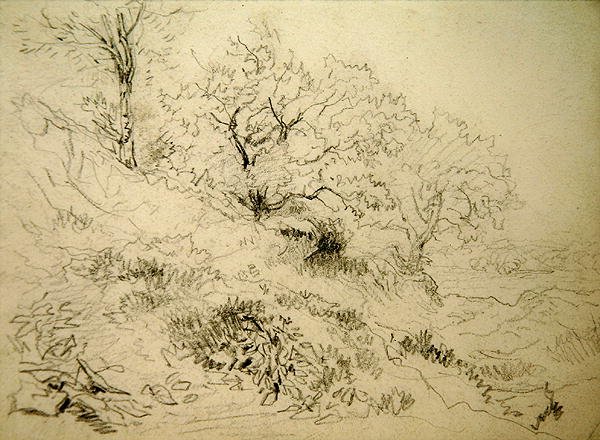 Paysage gallois - David Cox