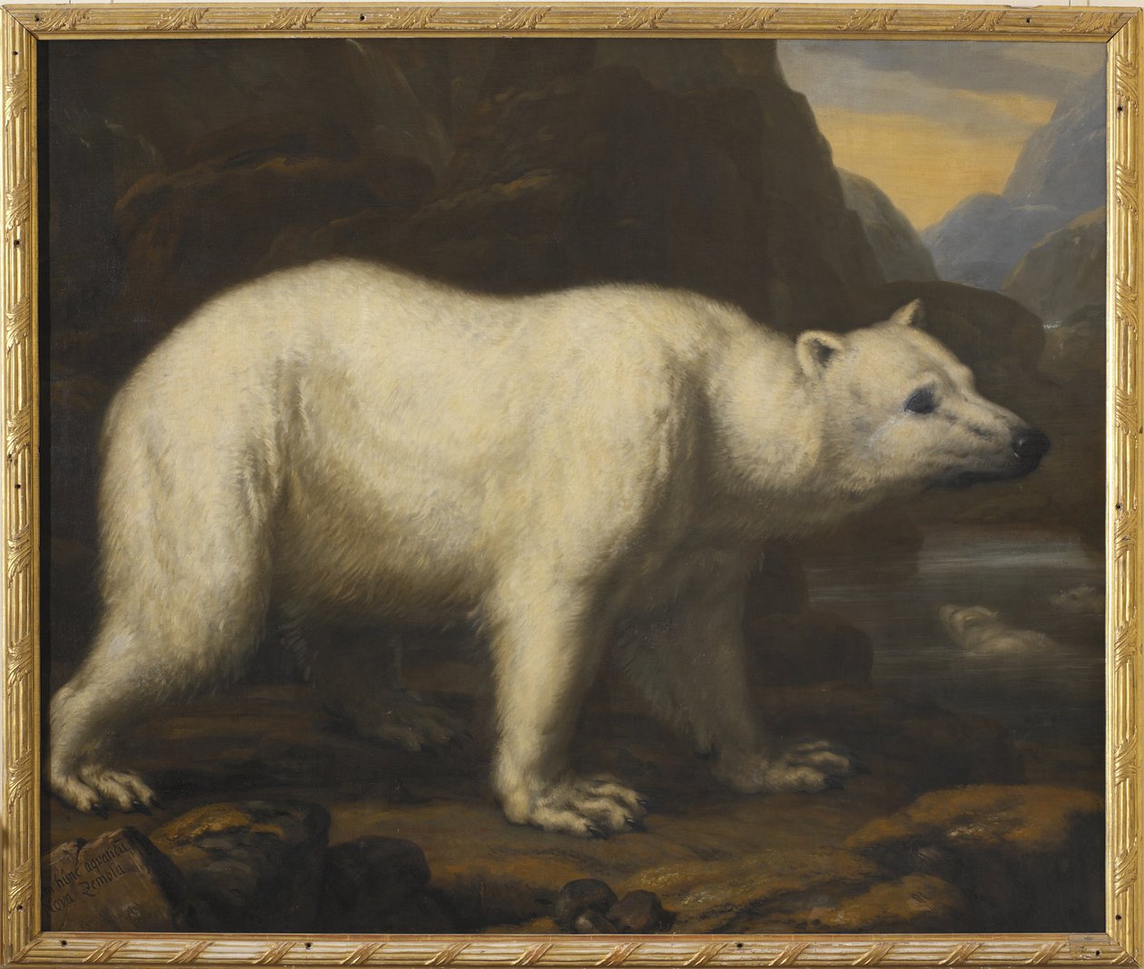 Les ours polaires - David Klöcker Ehrenstrahl